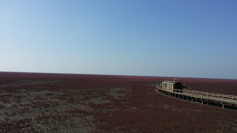 红海滩国家风景廊道旅游景点攻略图