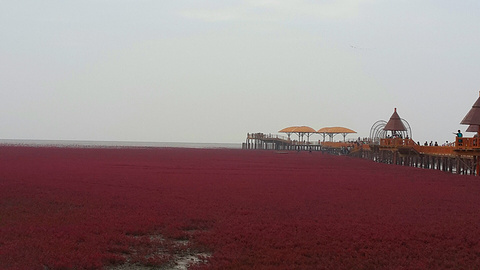 红海滩国家风景廊道旅游景点攻略图