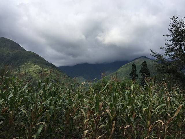 海螺沟半亩山庄温泉