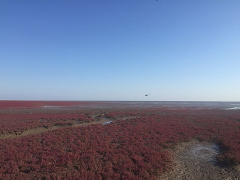 红海滩国家风景廊道旅游景点攻略图