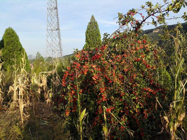 香木河自然保护区