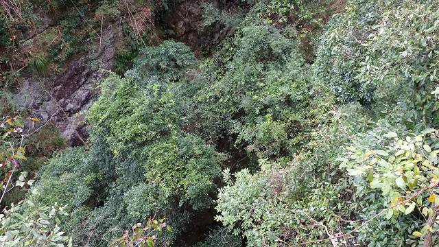 三爪仑国家森林公园