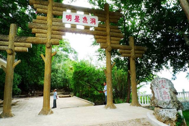 明星鱼洞