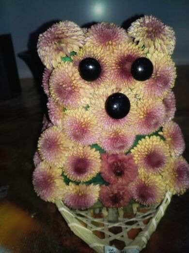 嵩明菊花展览会