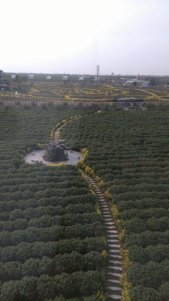 玫瑰小镇生态旅游观光园