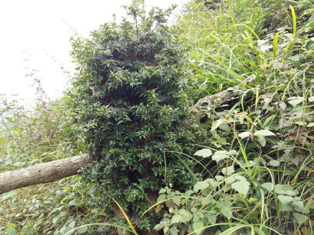 景区还可以,就是交通不方便,自驾游还行,乘车下午返回的车不好打_药王