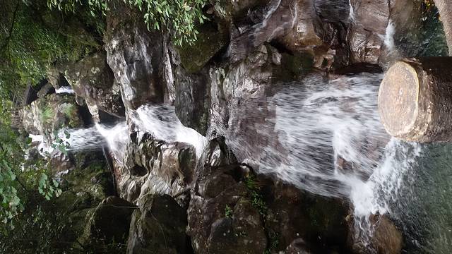 三爪仑国家森林公园