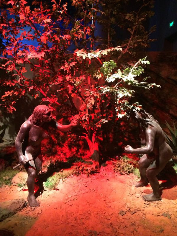 周口店遗址博物馆