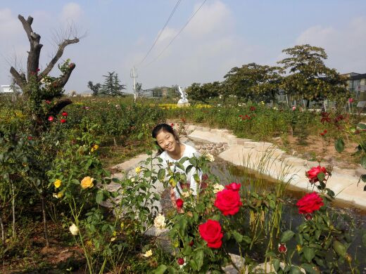 玫瑰小镇生态旅游观光园