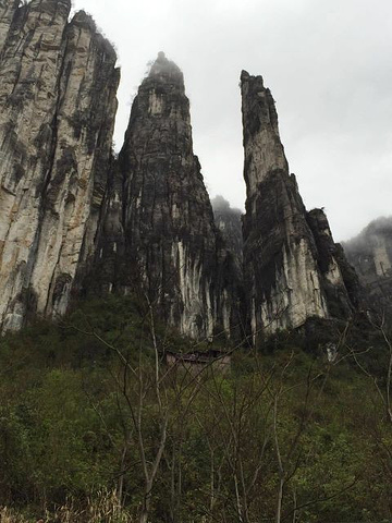 "_云龙地缝"的评论图片