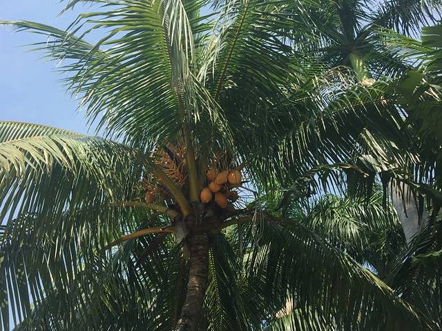 白沙门公园游乐场