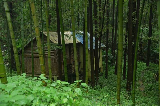 东明山森林公园