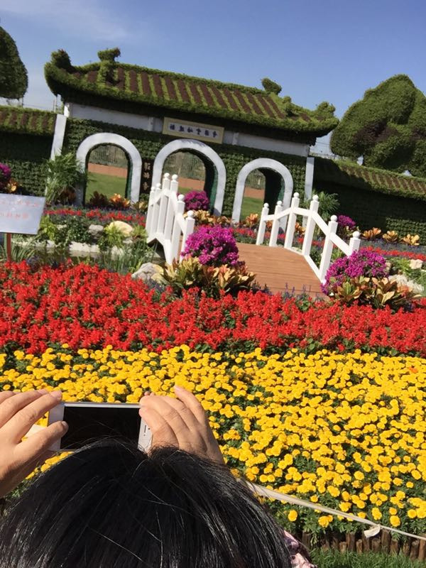 第四届中国兰花大会