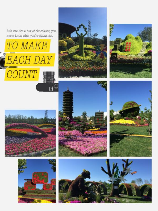 第四届中国兰花大会