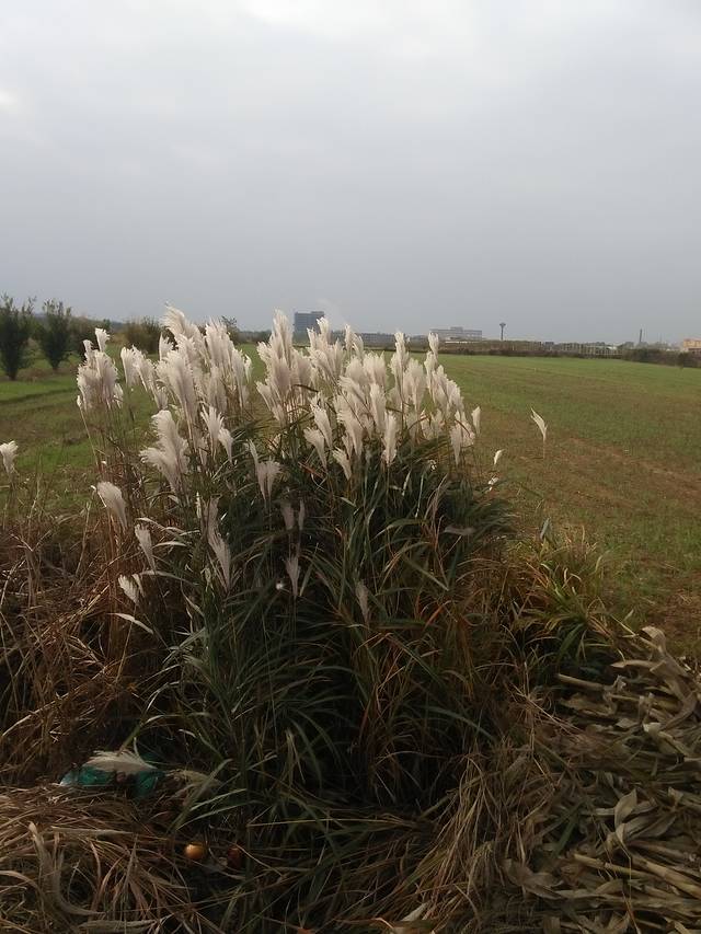 爷台山战役纪念馆