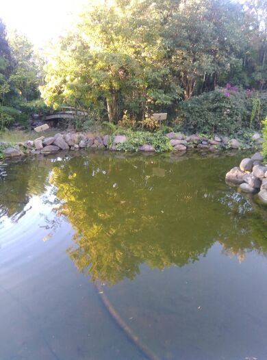 金色池塘第四店(北辰大道第四店)