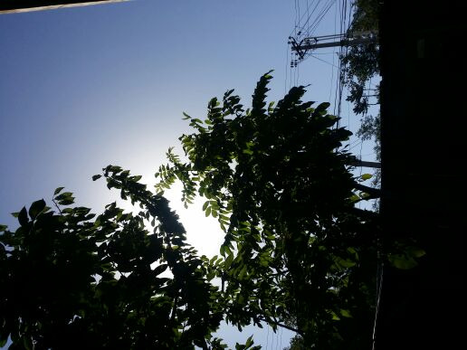 莲花山森林公园