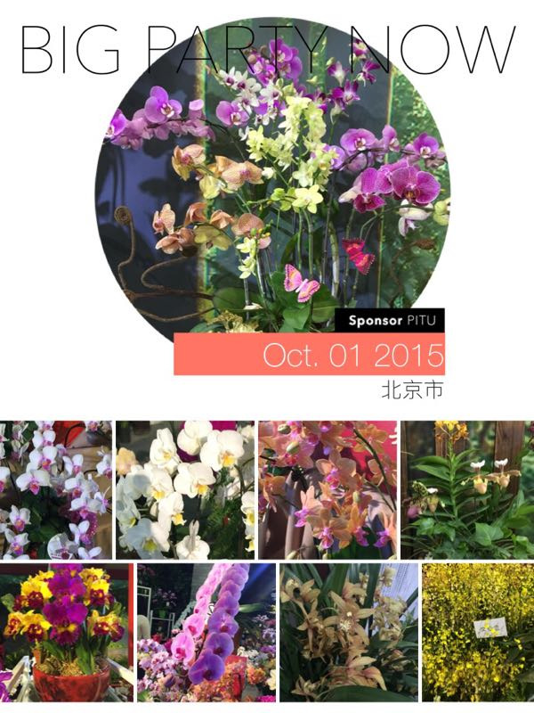 第四届中国兰花大会