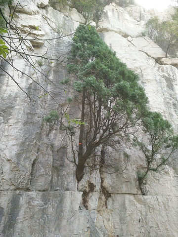 "_石门坊"的评论图片