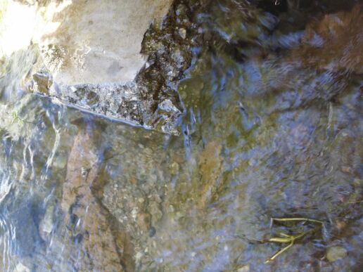 莲花山森林公园