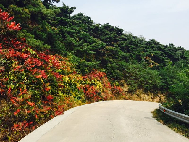 "_沂蒙山旅游区沂山景区"的评论图片