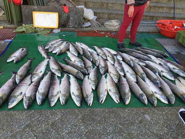 抚远黑龙江鱼展馆