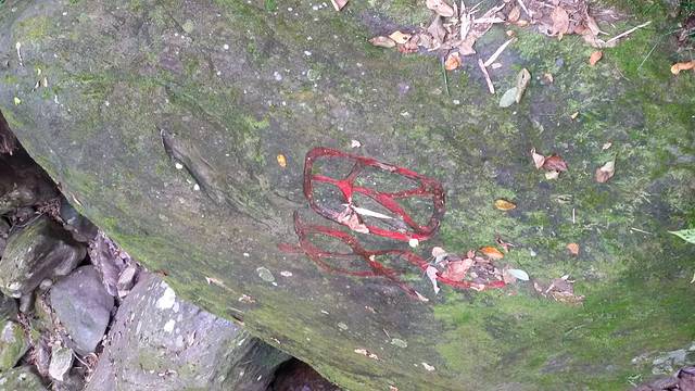 三爪仑国家森林公园