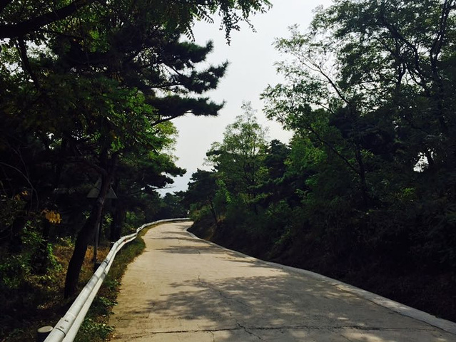 "_沂蒙山旅游区沂山景区"的评论图片