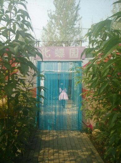 旅顺太空植物王国