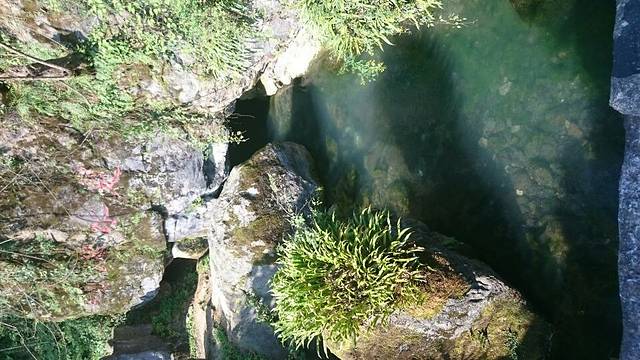 皮佳洞仙境乐园