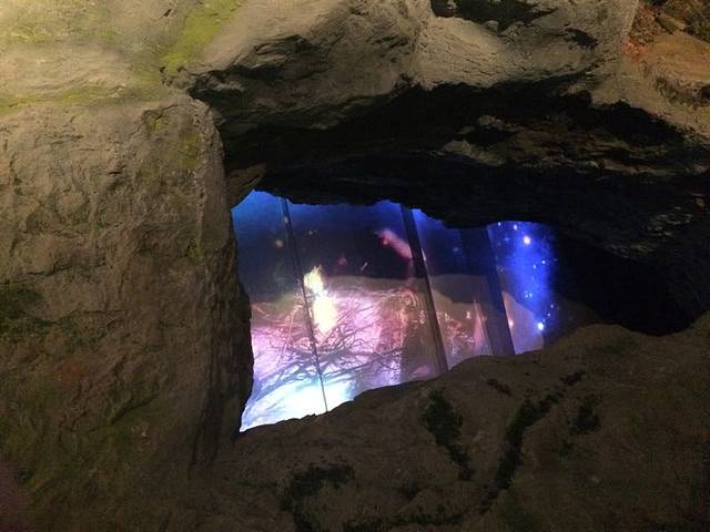 周口店遗址博物馆