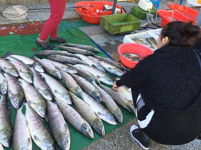 抚远黑龙江鱼展馆