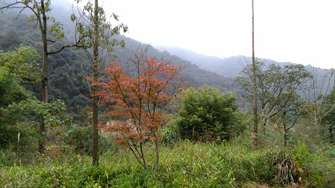 黄公望隐居地旅游景点攻略图