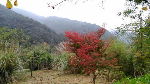 黄公望隐居地旅游景点攻略图