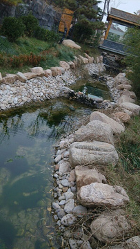 揽翠湖天沐温泉度假村旅游景点攻略图