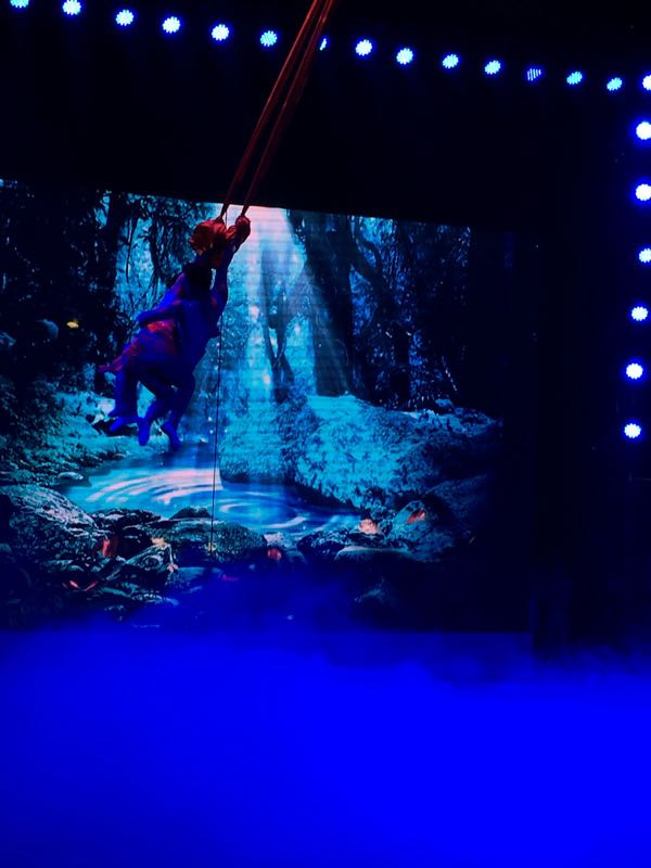 黑龙江虎林园国际马戏城