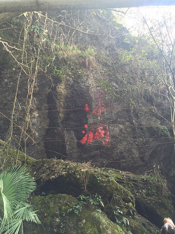 "_双龙风景旅游区"的评论图片