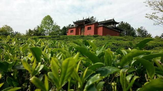 枫香坡侗族风情寨