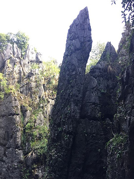 鳞隐石林旅游景点攻略图