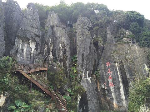 鳞隐石林旅游景点攻略图