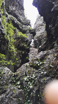 鳞隐石林旅游景点攻略图