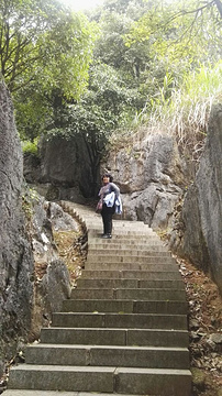 鳞隐石林旅游景点攻略图