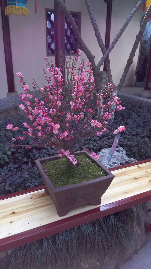 南翔历史文化陈列馆