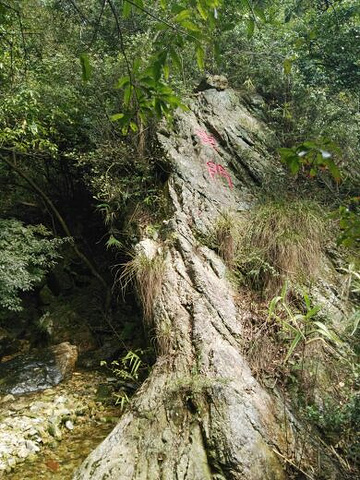 "_牛鱼嘴风景区"的评论图片