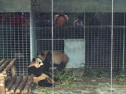 长沙生态动物园旅游景点攻略图