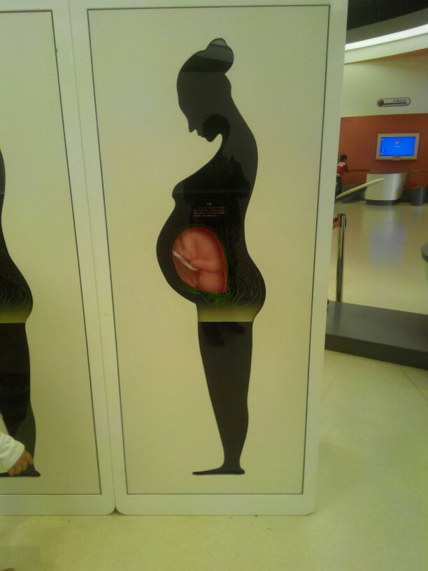 黑龙江省科学技术馆