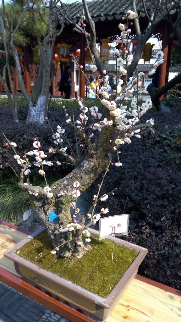 南翔历史文化陈列馆