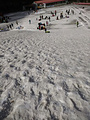 沣峪庄园滑雪场