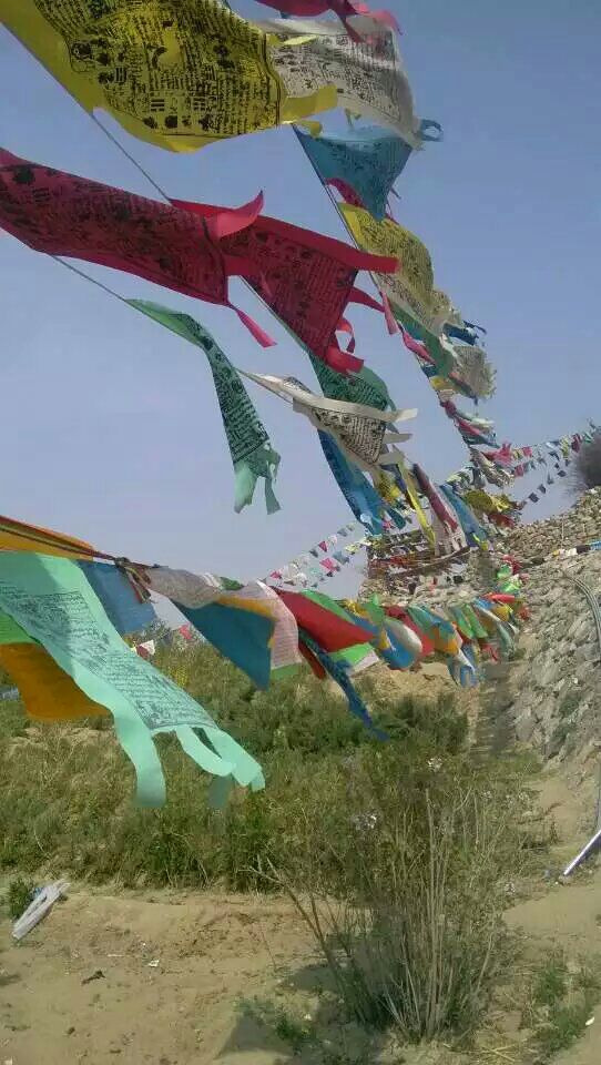 赛汗塔拉城中草原