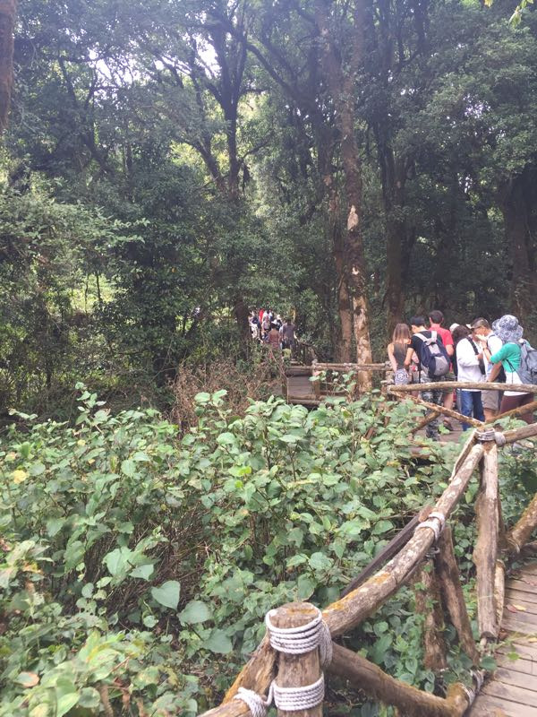 茵他侬国家公园